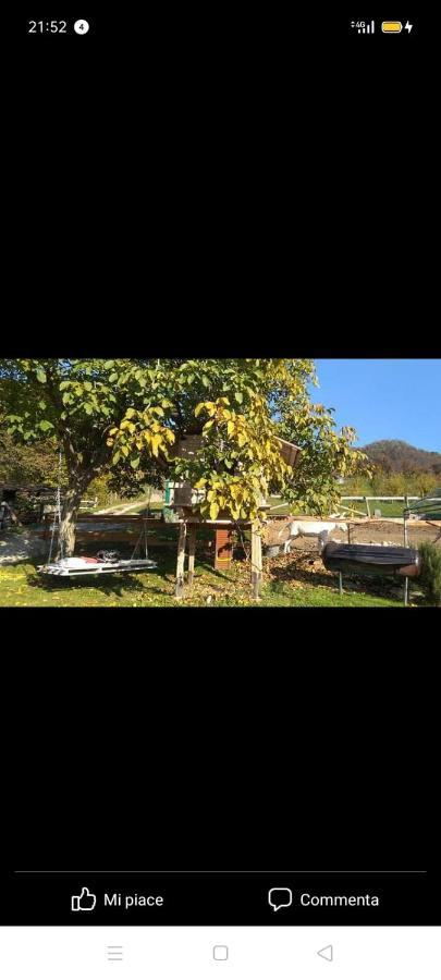 B&B In Fattoria Berzo San Fermo エクステリア 写真